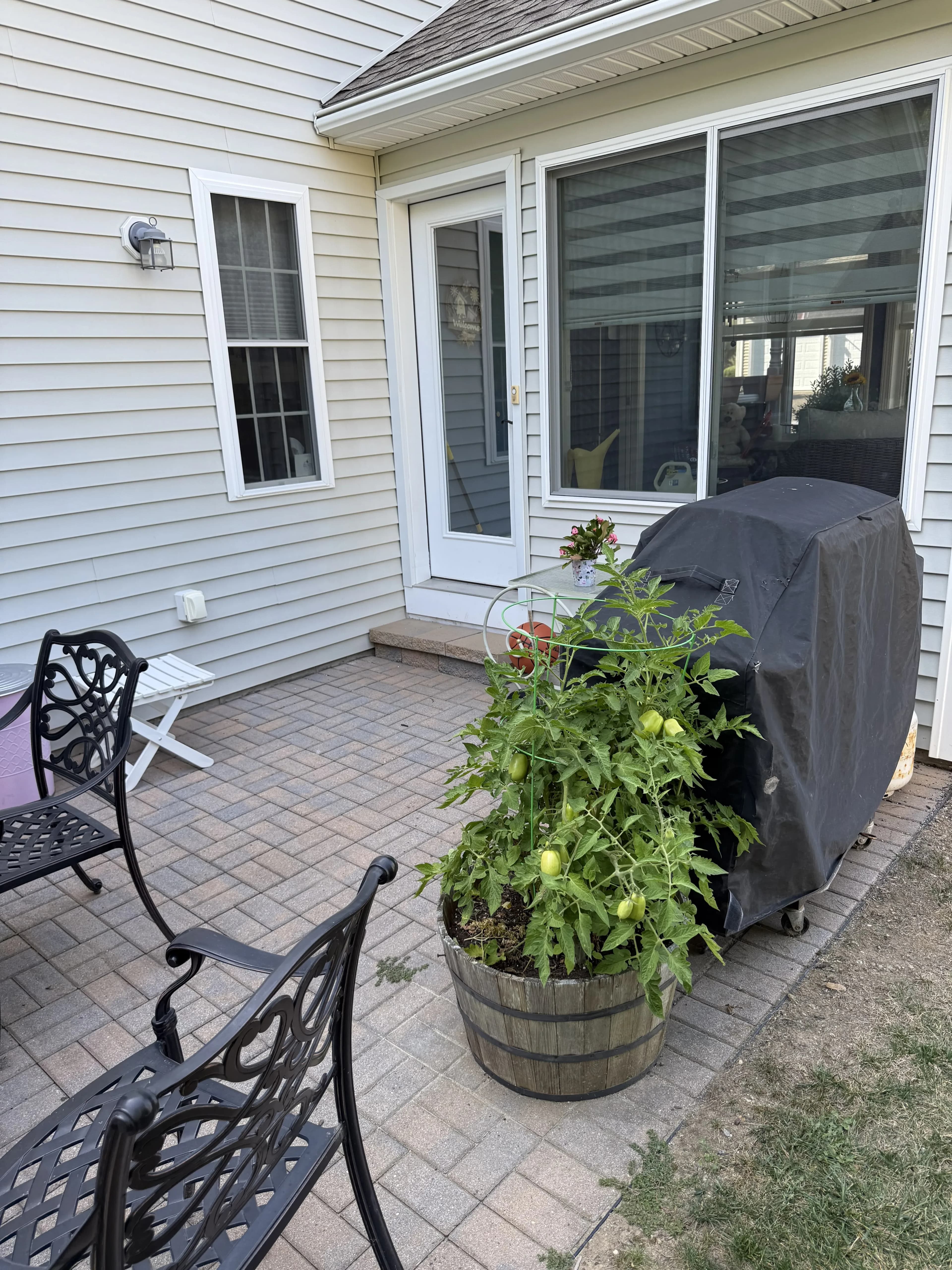 Deck — Oxford photo 3